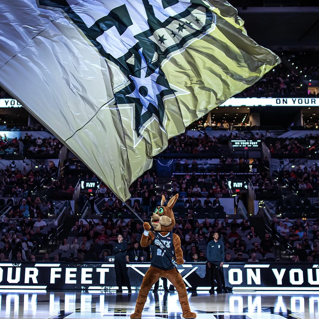 他便稳扎稳 他便稳扎稳