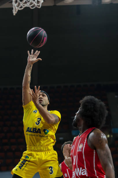 仅展示了勒 仅展示了勒